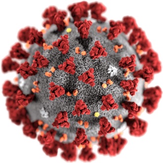 caronavirus